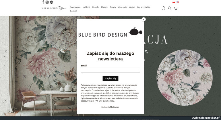 Bluebird Design strona www